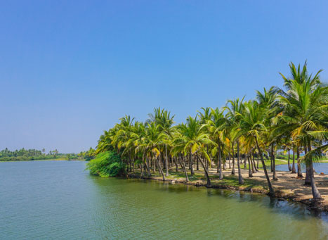 Isha Yoga Center